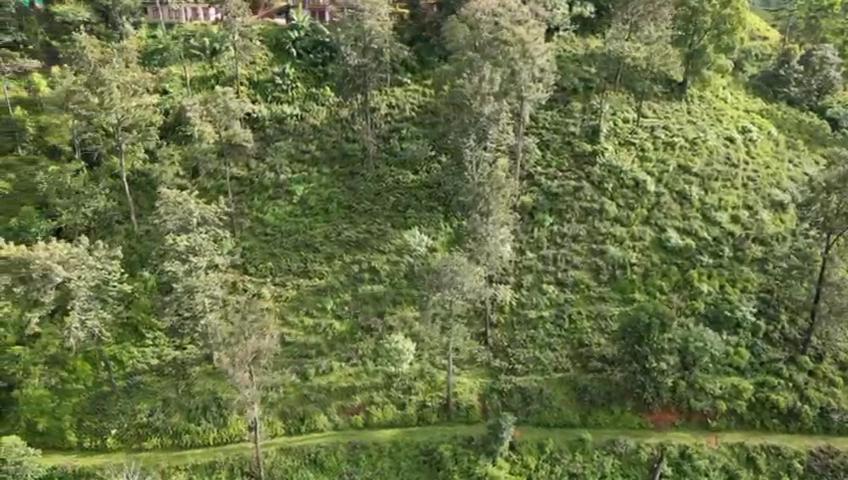 Nature'S Rest 埃拉 外观 照片
