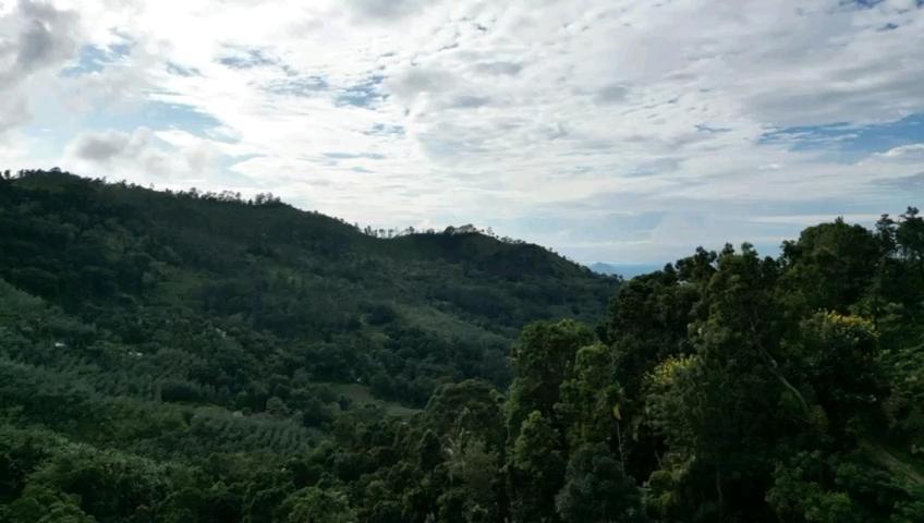 Nature'S Rest 埃拉 外观 照片