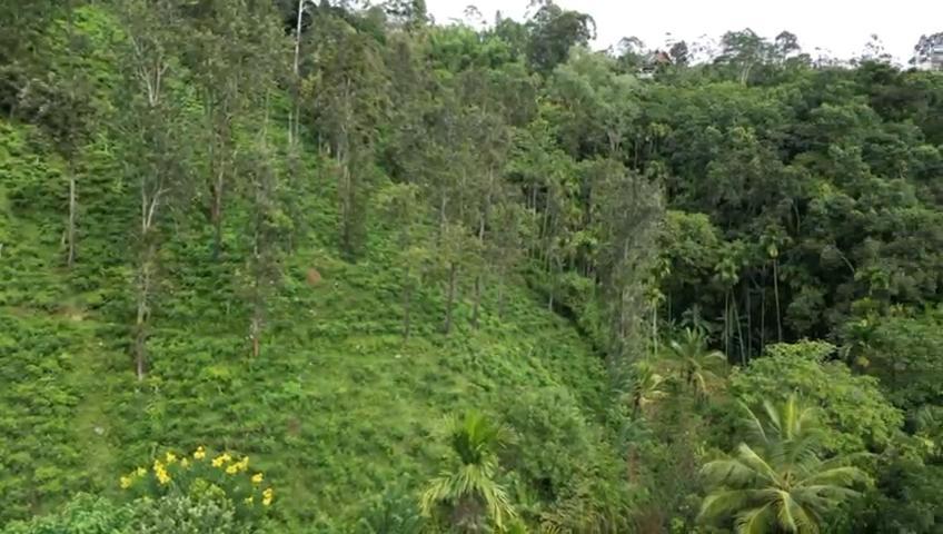 Nature'S Rest 埃拉 外观 照片