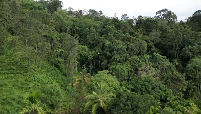 Nature'S Rest 埃拉 外观 照片